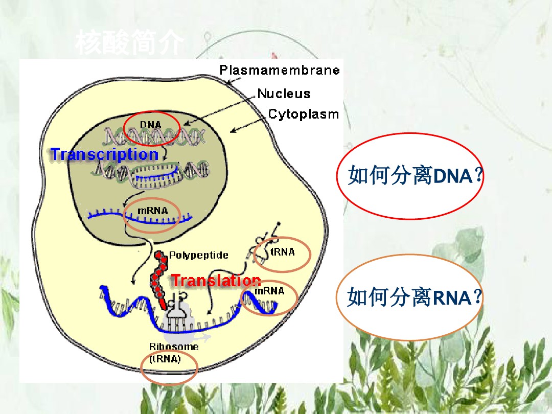 0c87e1c4b0717fd5360cdcda.jpg