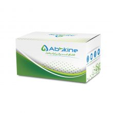 ExKine? 細(xì)胞核蛋白與胞漿蛋白提取試劑盒