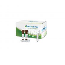LinKine? 辣根過氧化物酶 偶聯(lián)試劑盒