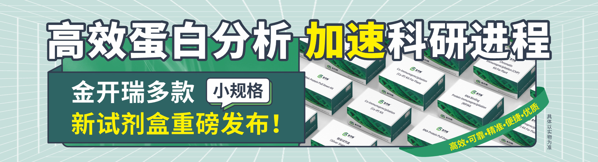 高效蛋白分析  加速科研進(jìn)程！